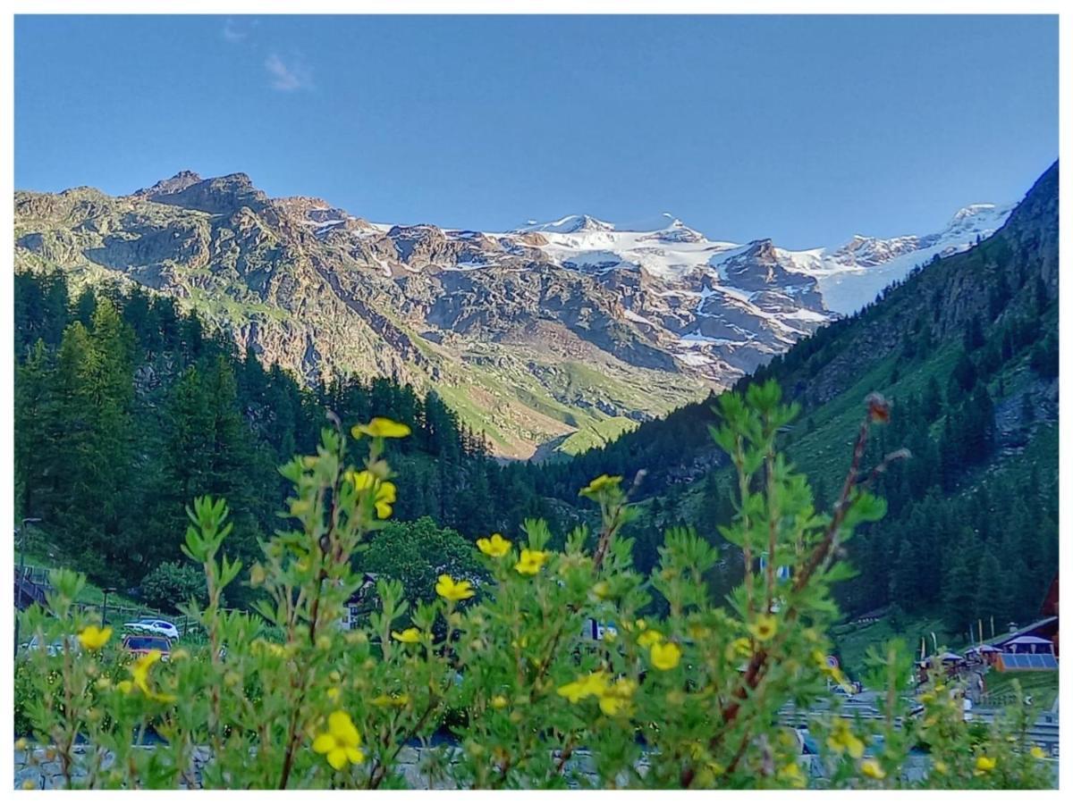 Punta Vittoria Sub 14 - Residence Anderbatt Gressoney - 3 Locali - Cir N 0010 Staval Экстерьер фото
