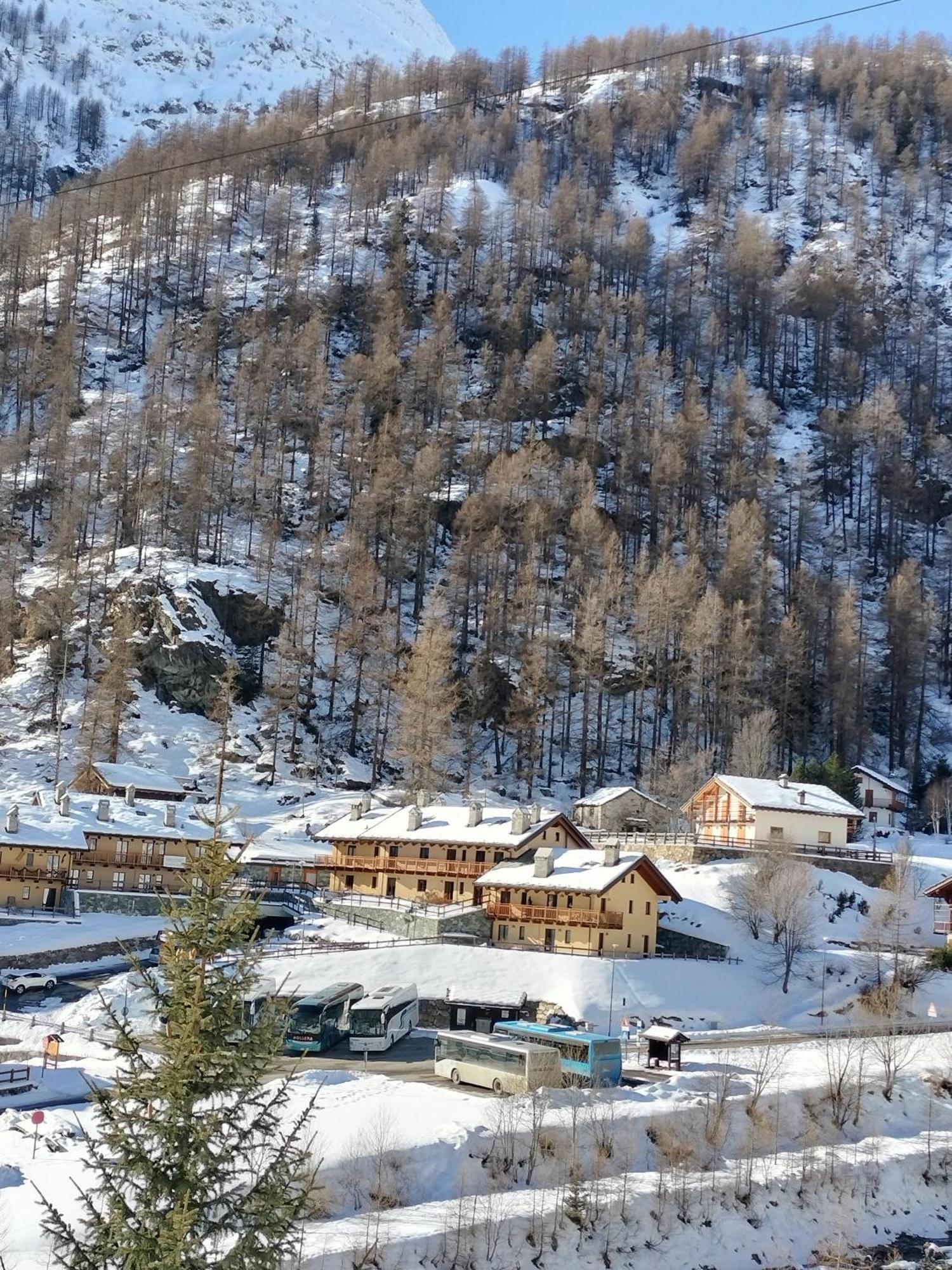 Punta Vittoria Sub 14 - Residence Anderbatt Gressoney - 3 Locali - Cir N 0010 Staval Экстерьер фото